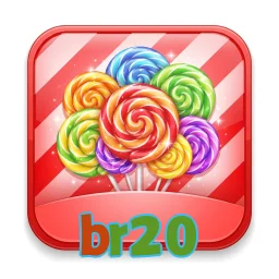 br20